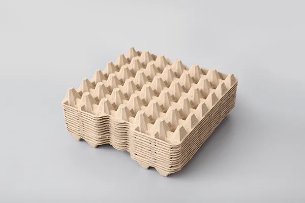 对辊式蛋托生产线插图5 Egg-Tary-01.webp