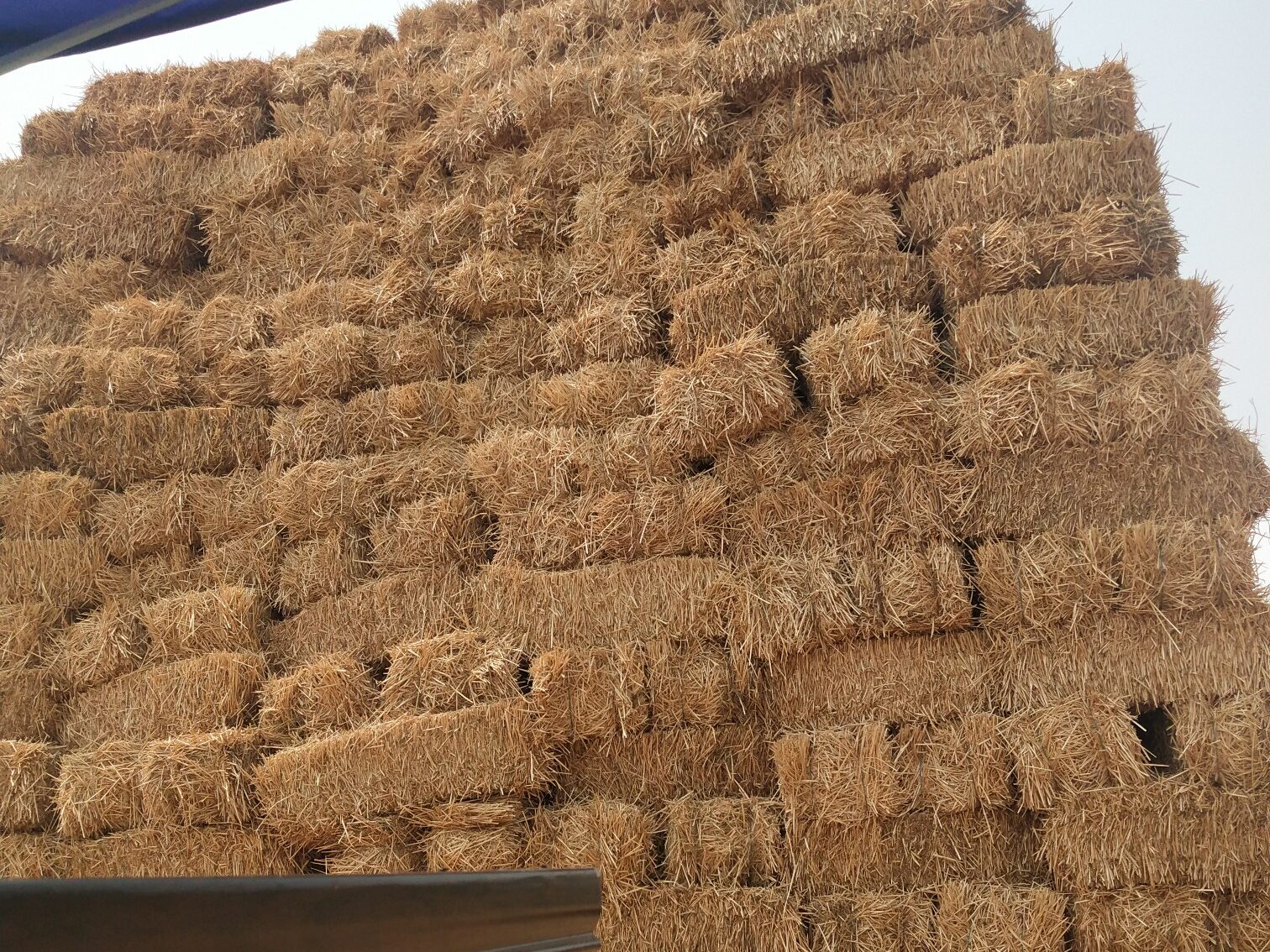 常见的开元平台_开元(中国)
原料特点分析插图2 常见的开元平台_开元(中国)
原料特点分析插图2